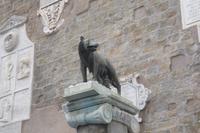 Kapitolshügel (Kopie der Kapitolinischen Wölfin) &ndash; &copy; Katrin Deutschbein (Eberhardt TRAVEL)