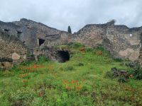 Pompeji  &ndash; &copy; Katrin Deutschbein (Eberhardt TRAVEL)