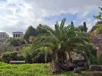 Rom (Forum Romanum mit Blick zum Palatinhügel) &ndash; &copy; Katrin Deutschbein (Eberhardt TRAVEL)