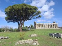 Paestum (Athena-Tempel oder auch Ceres-Tempel) &ndash; &copy; Katrin Deutschbein (Eberhardt TRAVEL)