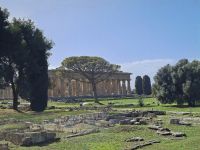 Paestum (Neptun- bzw. Poseidontempel) &ndash; &copy; Katrin Deutschbein (Eberhardt TRAVEL)