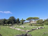 Paestum (Athena-Tempel oder auch Ceres-Tempel) &ndash; &copy; Katrin Deutschbein (Eberhardt TRAVEL)
