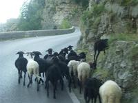 Unerwartete Begegnung &ndash; &copy; Gabriele Schwarze (Eberhardt TRAVEL)