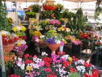 Fiori &ndash; &copy; Bernhard Rink (Eberhardt TRAVEL)