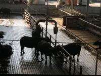 die haben's da gut &ndash; &copy; Bernhard Rink (Eberhardt TRAVEL)