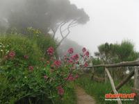 &copy; Petra Sauer (Eberhardt TRAVEL)