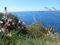 Amalfiküste &ndash; &copy; Katrin Deutschbein (Eberhardt TRAVEL)