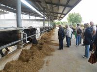 Büffelfarm Vannulo &ndash; &copy; Katrin Deutschbein (Eberhardt TRAVEL)