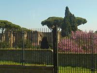 Caracalla-Thermen &ndash; &copy; Katrin Deutschbein (Eberhardt TRAVEL)