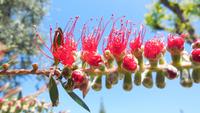 DSCN1459 &ndash; &copy; Petra Sauer (Eberhardt TRAVEL)