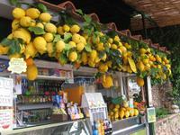 Capri-Blicke &ndash; &copy; Petra Sauer (Eberhardt TRAVEL)