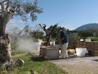 Räuchern &ndash; &copy; Petra Sauer (Eberhardt TRAVEL)