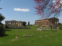Paestum &ndash; &copy; Petra Sauer (Eberhardt TRAVEL)