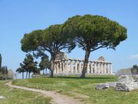 Paestum (Cerestempel) &ndash; &copy; Katrin Deutschbein (Eberhardt TRAVEL)