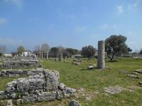 Paestum &ndash; &copy; Katrin Deutschbein (Eberhardt TRAVEL)
