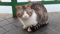 ... und Charlie &ndash; &copy; Petra Sauer (Eberhardt TRAVEL)