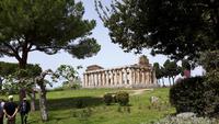 Paestum &ndash; &copy; Katrin Deutschbein (Eberhardt TRAVEL)