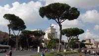Vittoriano &ndash; &copy; Petra Sauer (Eberhardt TRAVEL)