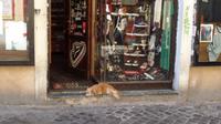 Römischer Wachhund &ndash; &copy; Petra Sauer (Eberhardt TRAVEL)