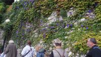 Capri &ndash; &copy; Petra Sauer (Eberhardt TRAVEL)