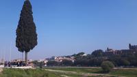 Rom (Circus Maximus) &ndash; &copy; Katrin Deutschbein (Eberhardt TRAVEL)