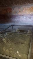 Pompeji &ndash; &copy; Katrin Deutschbein (Eberhardt TRAVEL)