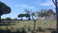 Paestum &ndash; &copy; Katrin Deutschbein (Eberhardt TRAVEL)