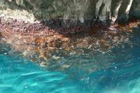 P1000548 &ndash; &copy; Philipp Schmitz (Eberhardt TRAVEL)