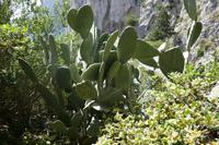P1000568 &ndash; &copy; Philipp Schmitz (Eberhardt TRAVEL)