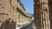 26.05.2018 Paestum &ndash; &copy; Jutta Petzold-Herrmann (Eberhardt TRAVEL)
