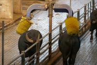 P1020115 &ndash; &copy; Philipp Schmitz (Eberhardt TRAVEL)