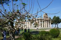 Paestum &ndash; &copy; Philipp Schmitz (Eberhardt TRAVEL)