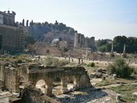 Blick über das Forum zum Palatin &ndash; &copy; Gabriele Schwarze (Eberhardt TRAVEL)