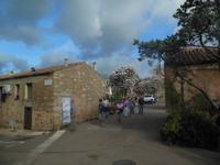 in San Pantaleo 