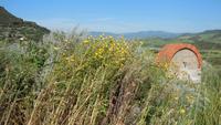 Wildromatische Trauminsel Sardinien &ndash; &copy; Heike Schlosser (Eberhardt TRAVEL)