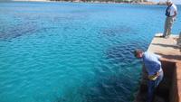 Wir suchen Seeigel &ndash; &copy; Heike Schlosser (Eberhardt TRAVEL)