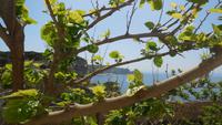 Blick zur Halbinsel wo die Wanderer Ihre Tour gemacht hatten &ndash; &copy; Heike Schlosser (Eberhardt TRAVEL)