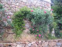Mauer in Port Cervo  &ndash; &copy; Annett Seese (Eberhardt TRAVEL)