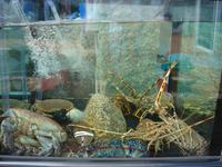Frischer Fisch &ndash; &copy; Stefan Jahnke (Eberhardt TRAVEL)