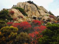128 Sardinien - Wanderung zum Capo Testa &ndash; &copy; Kerstin Heintzel (Eberhardt TRAVEL)