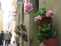 IMG_2081_Alghero &ndash; &copy; Rica Schubert (Eberhardt TRAVEL)