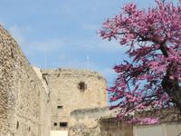 IMG_2087_Wehrturm Alghero &ndash; &copy; Rica Schubert (Eberhardt TRAVEL)