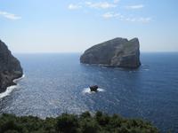IMG_2099_Capo Caccia  &ndash; &copy; Rica Schubert (Eberhardt TRAVEL)