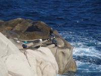 IMG_2135_Angler am Kap Capo Testa  &ndash; &copy; Rica Schubert (Eberhardt TRAVEL)