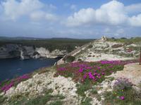 IMG_2172_Bonifacio &ndash; &copy; Rica Schubert (Eberhardt TRAVEL)