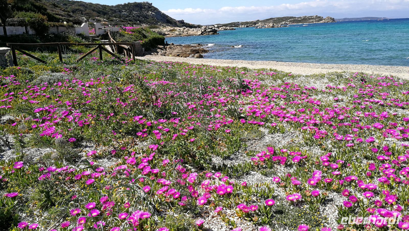 La Maddalena &ndash; &copy; Andreas Mandel (Eberhardt TRAVEL)