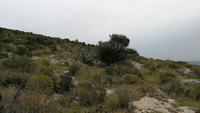 Aufstieg zum Teufelssattel &ndash; &copy; Andreas Mandel (Eberhardt TRAVEL)