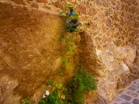 am Wegrand &ndash; &copy; Adelheid Fritzsche (Eberhardt TRAVEL)