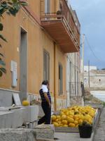 Pasquale und die Melonen für Sonntag &ndash; &copy; Pauline Gehrmann-Golomer (Eberhardt TRAVEL)