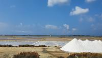 bei den Salinen von Marsala &ndash; &copy; Marlies Thrum (Eberhardt TRAVEL)